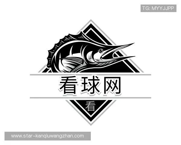 关于2026世界杯
